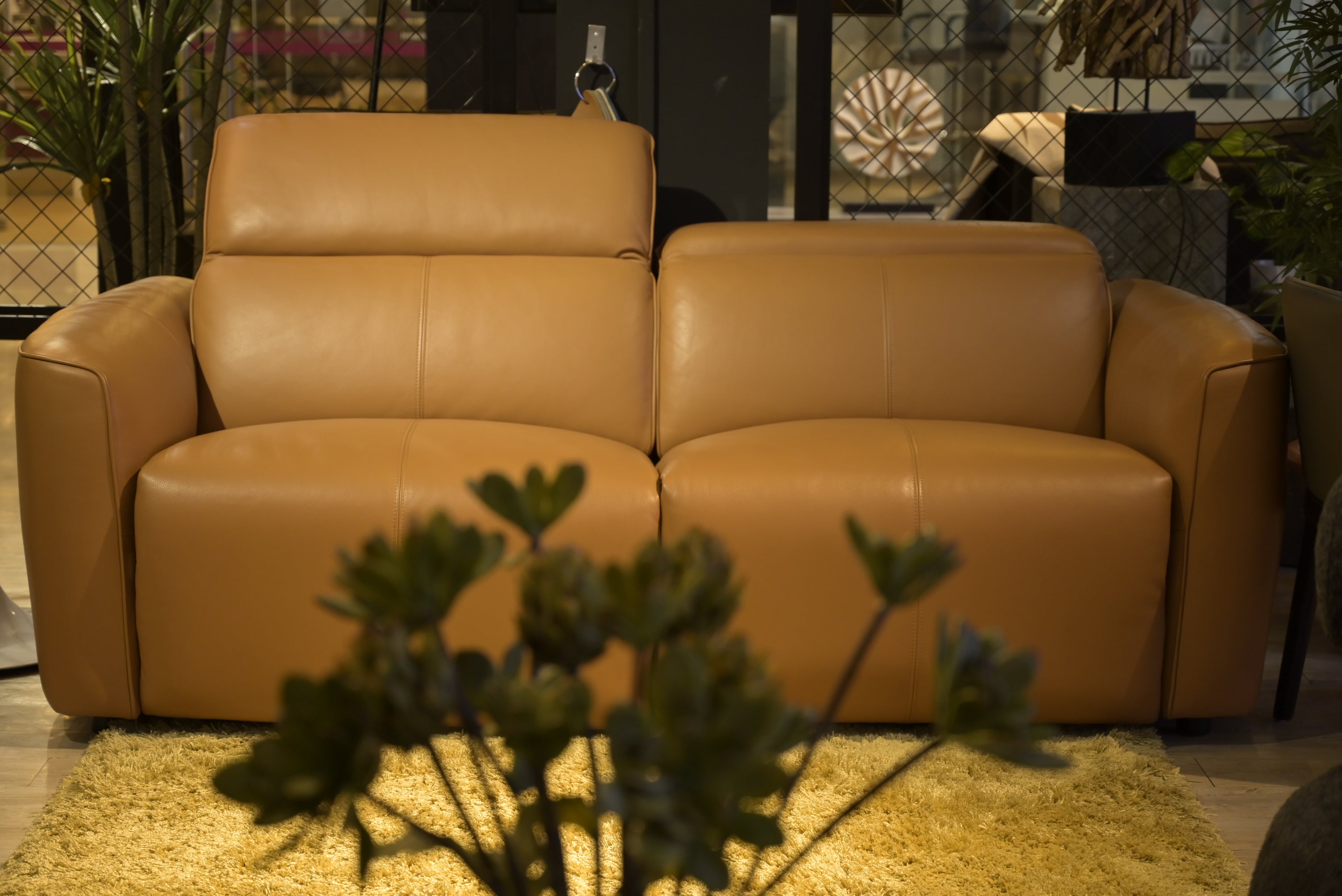 Brown leather sofa in a room with plants and decor